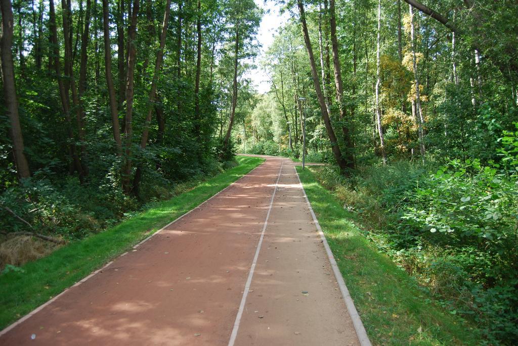 קולובז'ג Apartament Piaskowy Polanki Park מראה חיצוני תמונה